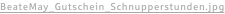 shapeimage_16_link_0